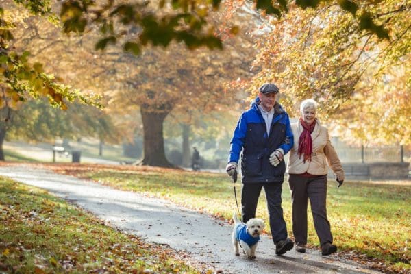 Senior couple are walking their dog through a public park in Autumn.