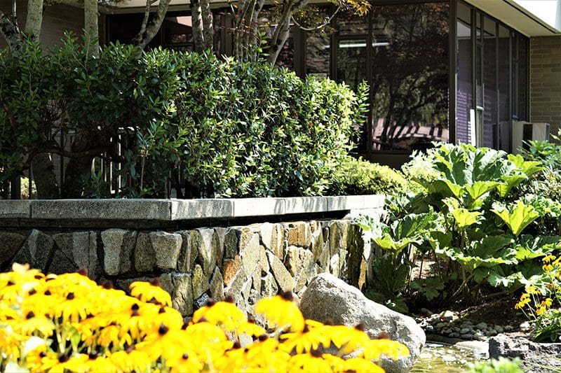 Kline Galland Home garden