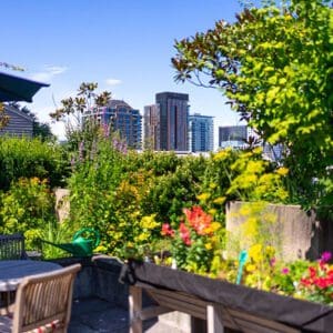 Rooftop garden and view of Seattle