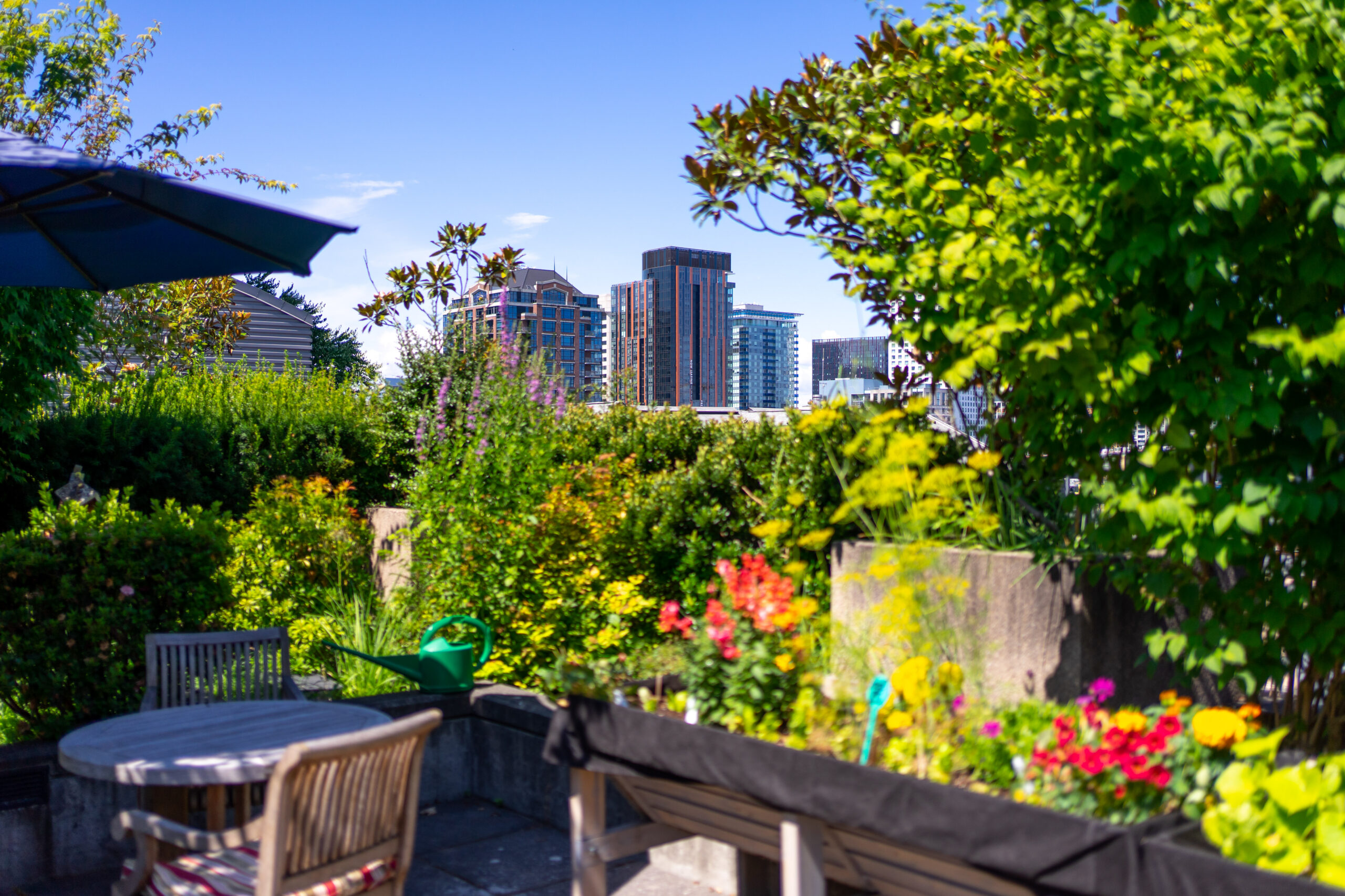 Why Getting Outside Matters for Older Adults